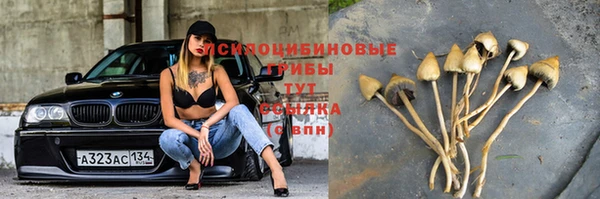 метадон Абинск